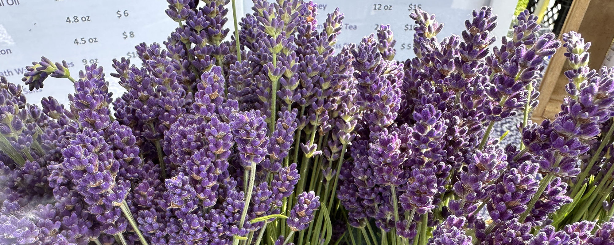 three oaks market header lavender